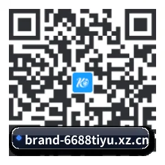 iPhone 与 iPad 专享端 二维码