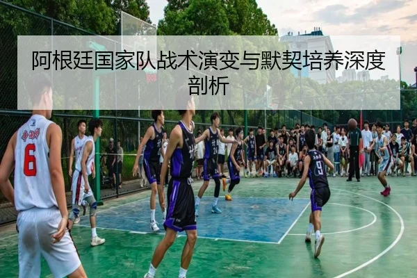 阿根廷国家队战术演变与默契培养深度剖析